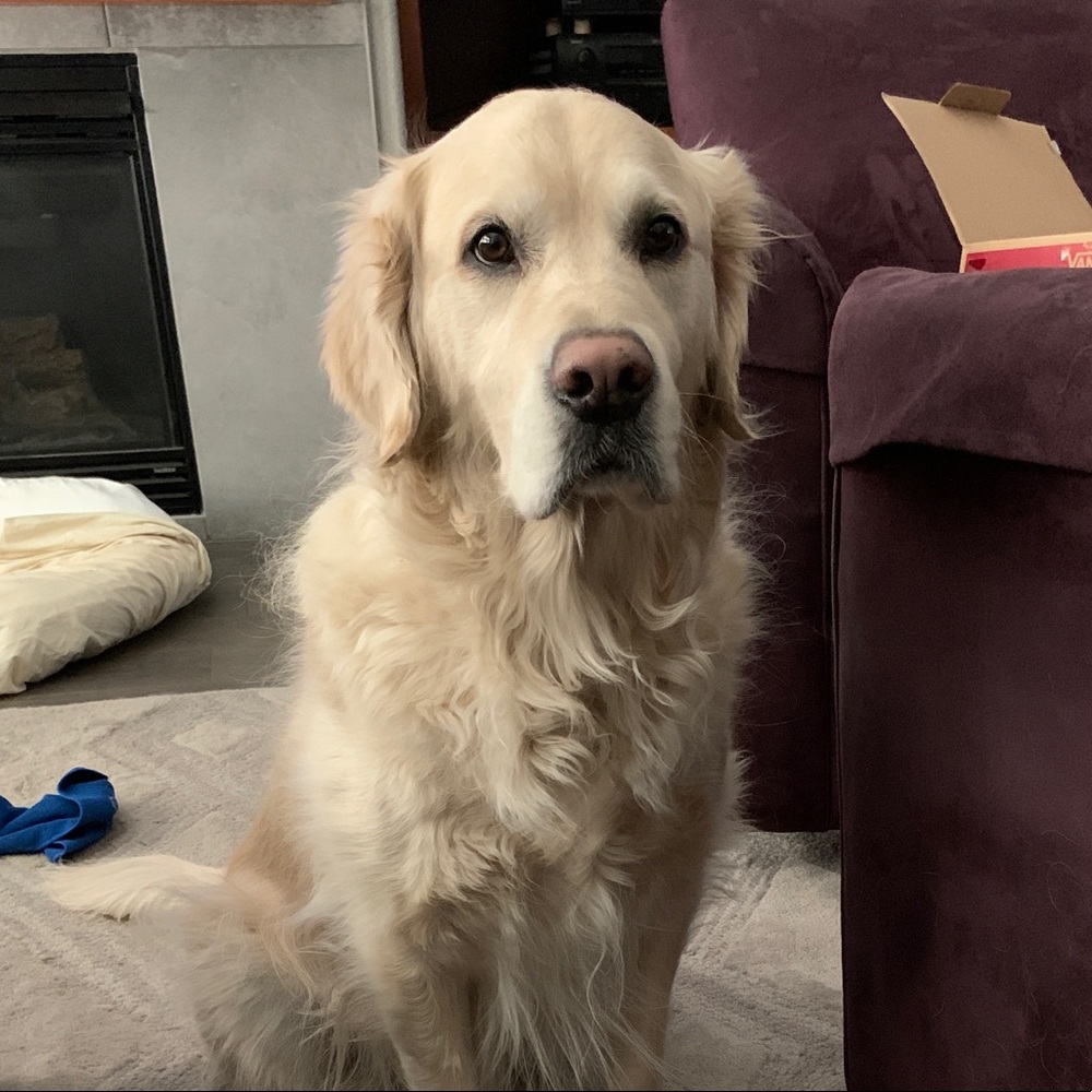 Meet your Posher, Robert